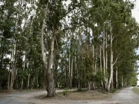 Terreno en Venta de 3400,0 m2