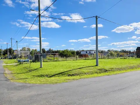 LOTE 493 Cardales Chico