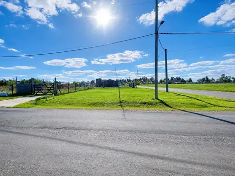 LOTE 493 Cardales Chico
