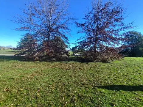 Terreno en Venta de 3269,0 m2