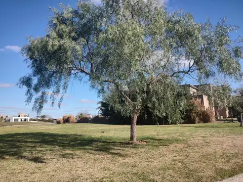 Area 6 Nuestra Señora del Loreto s/