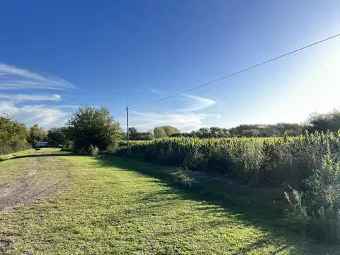 Venta Campo en Lobos 15,5has