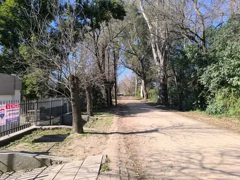 Buenos Aires 300