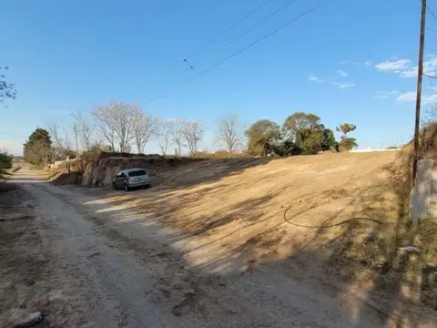 Larrea 1300