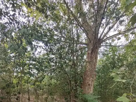 Terreno en Venta de 765,0 m2