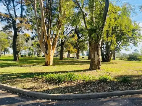 Ruta 2 KM 100