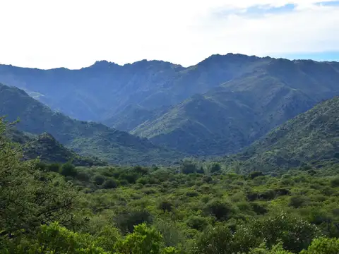 LOS MOLLES, SUYUQUE, CAMPO/QUINTA 20HAS, 2 CASAS, CON RÍO