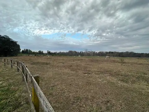 Terreno en Venta en El Argentino Farm Club, Countries y Barrios Cerrados en Lujan