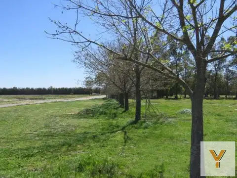 Terreno en venta - 1.015mts2 - Santa Inés III, Luján