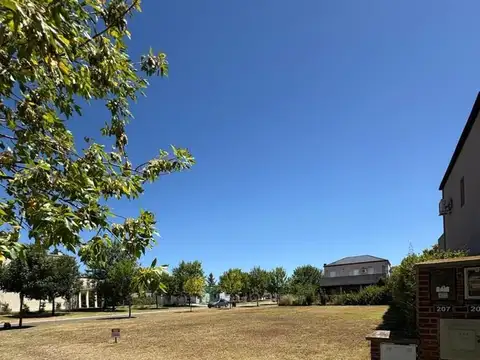 Terreno Lote  en Venta en San Alfonso, Pilar del Este, Pilar