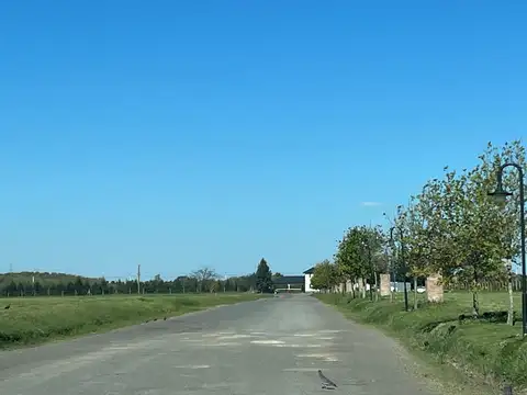 Terreno en Venta 30  mts Fondo