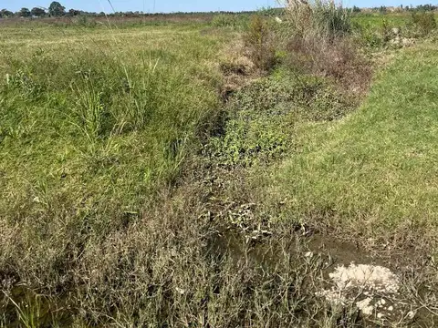 Terreno en Venta en Santa Isabel, USD 15.000