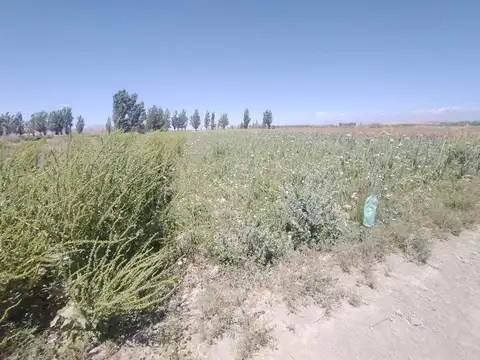 Campo agrícola con derecho de agua para 65 has.