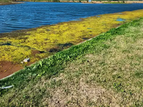 Venta Lote al Lago Barrio Amarras Puertos del Lago Escobar
