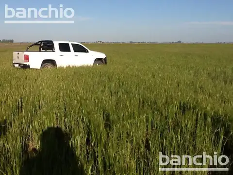 Campo  Ganadero - San Genaro