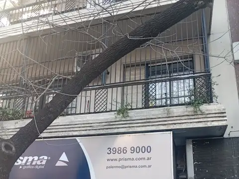 Avenida Raúl Scalabrini Ortiz 2300