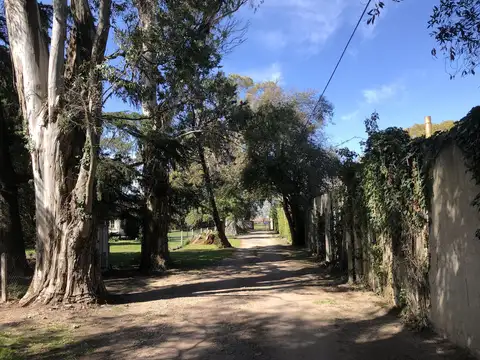 Terreno en Venta en Manuel B Gonnet, USD 85.000