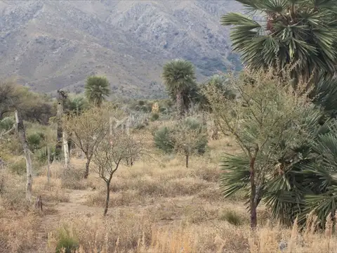 Terreno Lote  en Venta en Papagayos, Chacabuco, San Luis