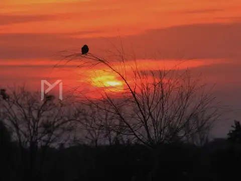 Terreno en Venta de 5000,0 m2