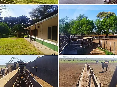 PEDRO LURO, PARTIDO DE VILLARINO