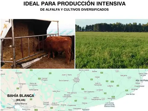 PEDRO LURO, PARTIDO DE VILLARINO