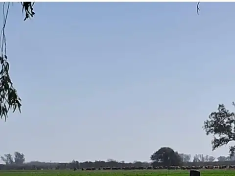 Campo en Venta con Alambrado