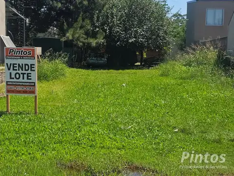 Fracción de terreno sobre Los Naranjos, a 250 mts de Dr. Bastian. SAN JOSE, 