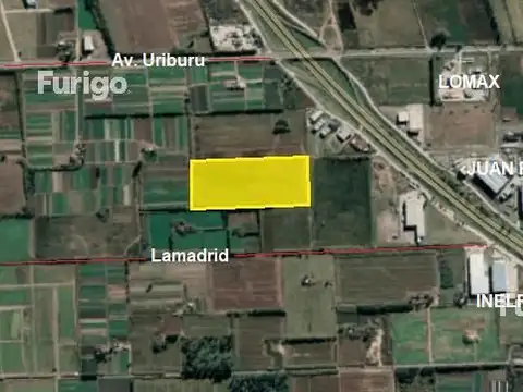 Campo en piñero apto agricultura