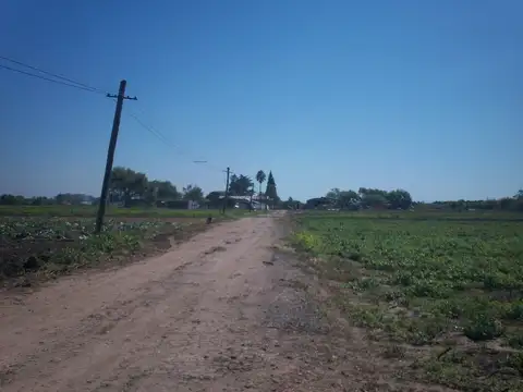 CAMPO 12 HECTAREAS CAMINO DEL INMIGRANTE