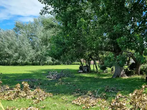 Aristobulo del Valle 1300