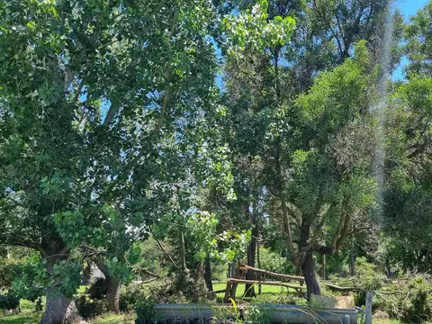 Casa en venta en Coronel Brandsen sobre Aristobulo del Valle [Cod: 2906-5]