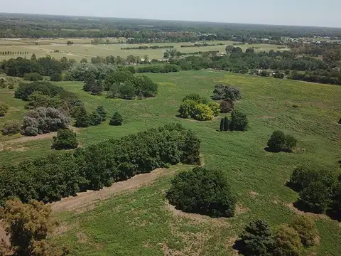 Terreno en Venta de 13650,0 m2