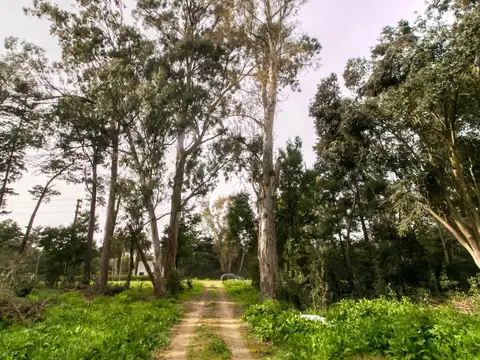 Terreno en Venta de 1073,0 m2