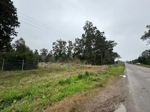 Lote en venta, La Plata. Sicardi