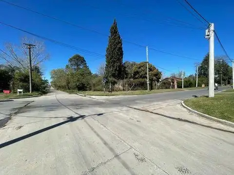 Los Fresnos Y Los Aromos