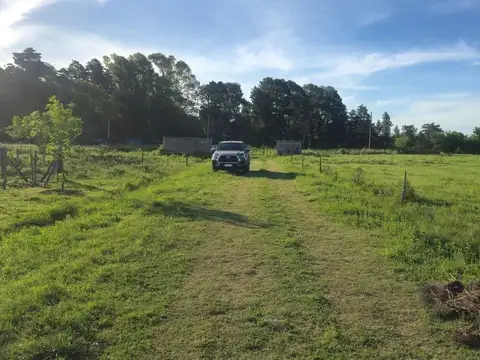 Ruta 47 y La Calandria