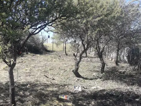 Terreno en Venta en Villa Parque Siquiman, Punilla