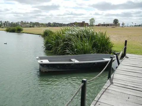 Ruta a Campana s/n 100