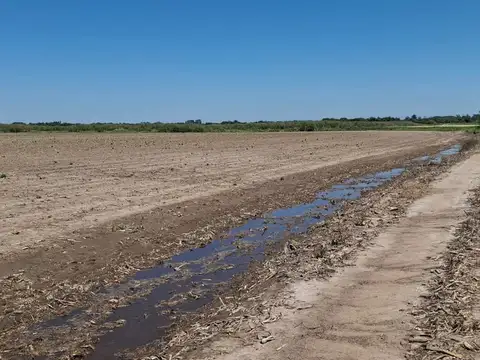 11 de Septiembre 10500