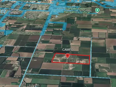 VENTA CAMPO 76 HECTAREAS ZONA SUR