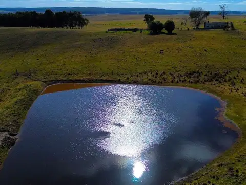 VENTA CAMPO 273hás A 9kmts DE MELO 4KMTS AERO INT.