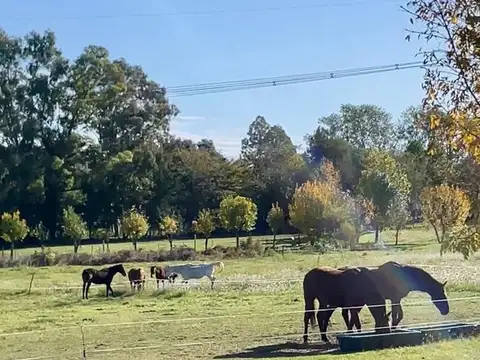 Terreno en Venta de 1000,0 m2