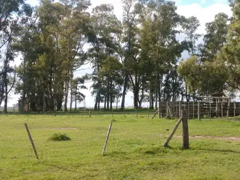 Campo en Venta de 200  ha