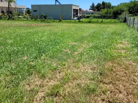 Terreno en Venta de 1256,0 m2