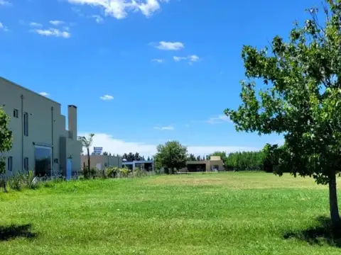 Terreno en Venta de 1256,0 m2