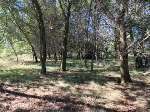 Terreno de Una Hectárea en El Ensueño - Los Aromos
