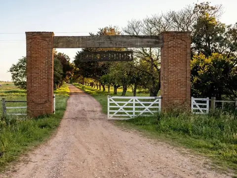 Terreno en Venta en Colonia del Sacramento, USD 96.000