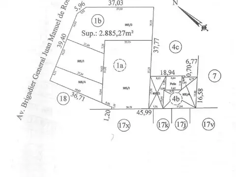 Juan Manuel de Rosas 100