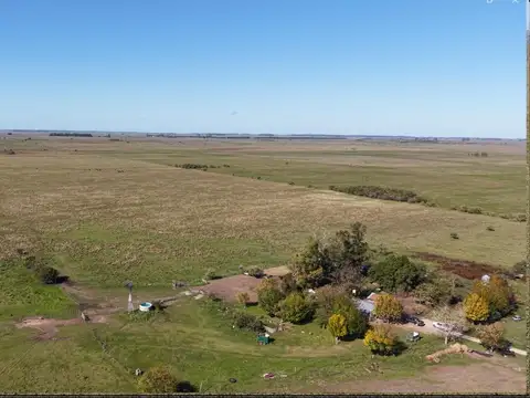 Campo para arrendar en Vieytes (Bs As)