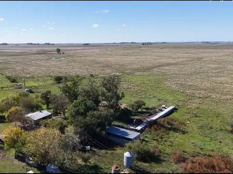 Campo para arrendar en Vieytes (Bs As)